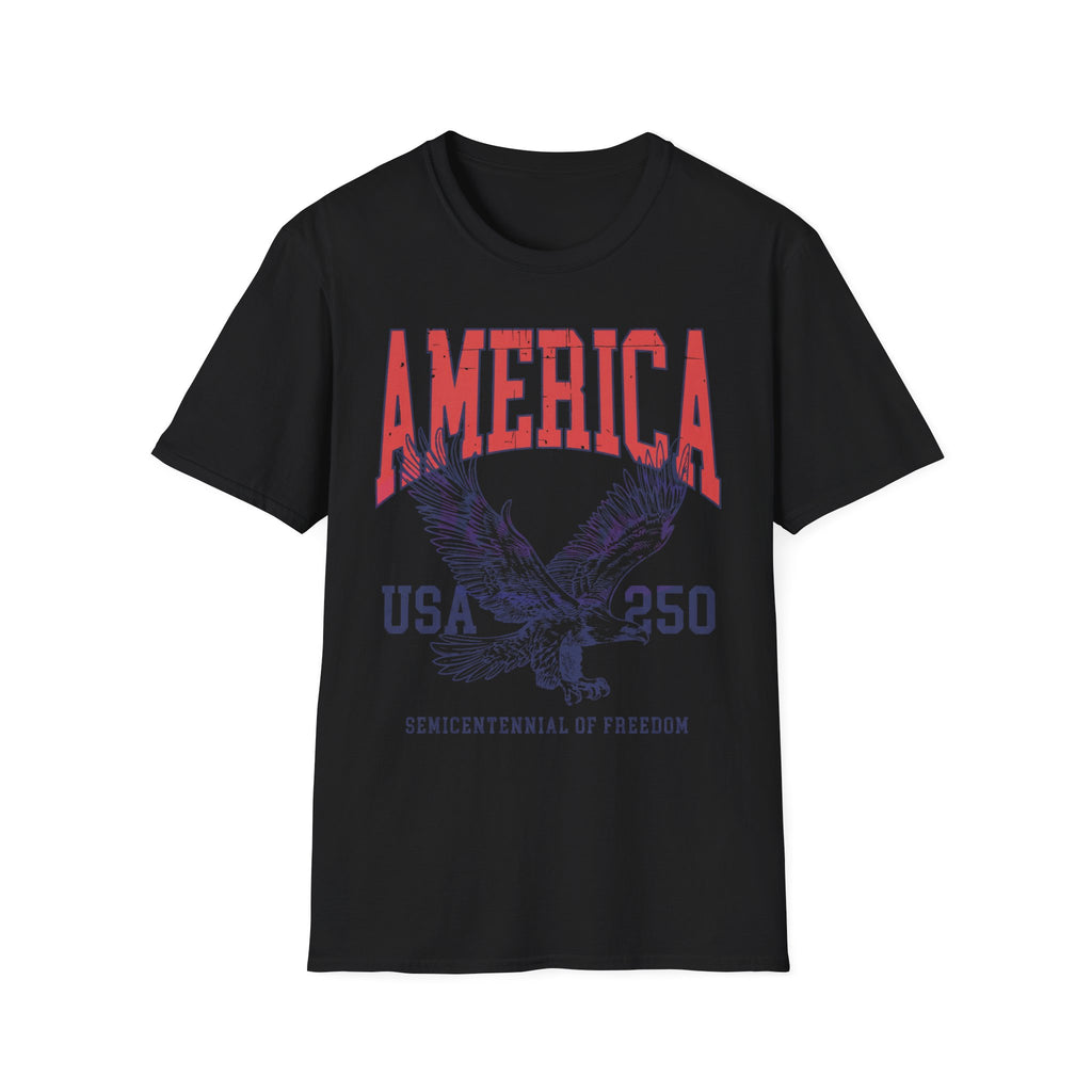 America USA 250 Vintage Gym T-Shirt