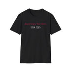 American Patriot US 250 Typographic Vintage Gym T-Shirt