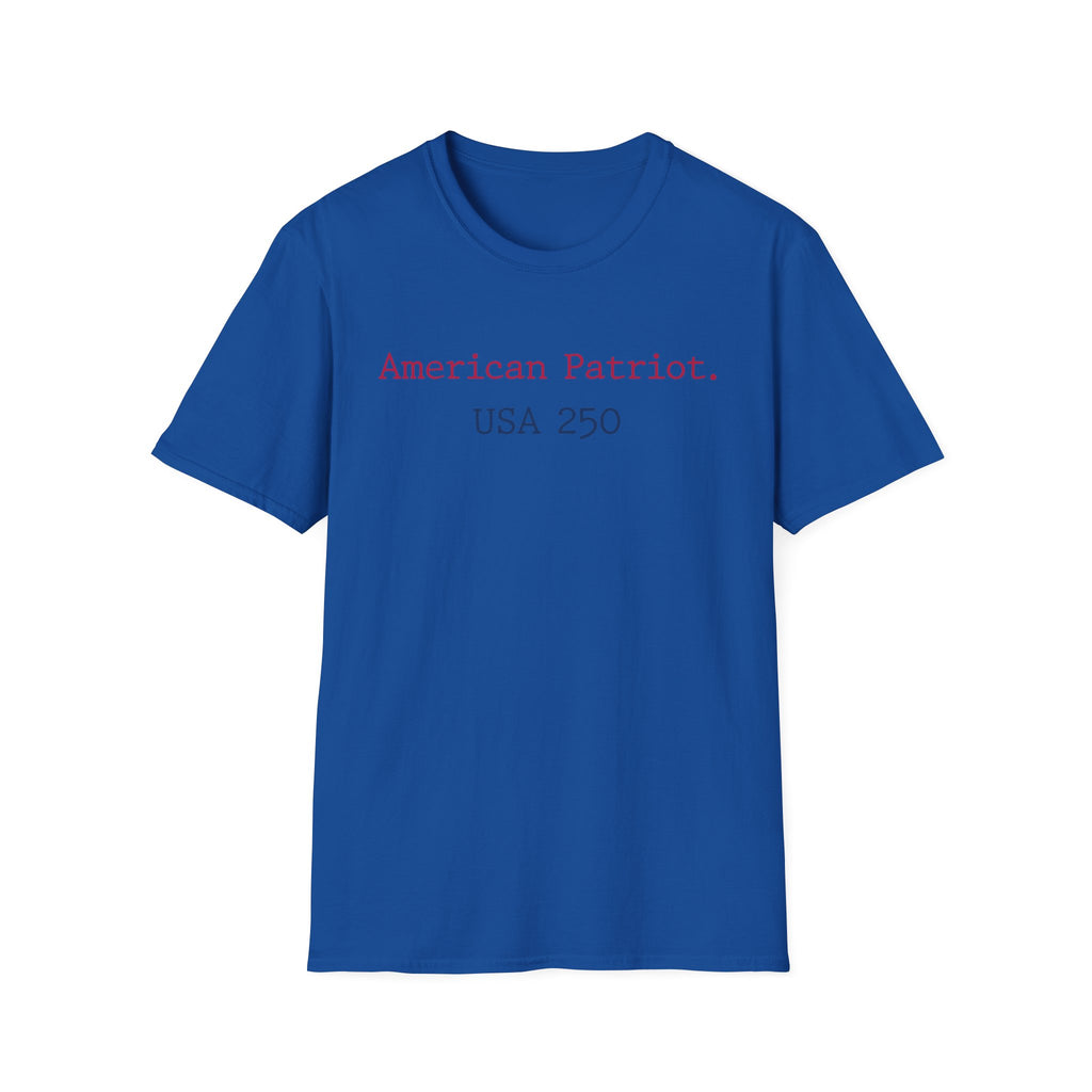 American Patriot USA 250 Typographic Vintage Gym T-Shirt