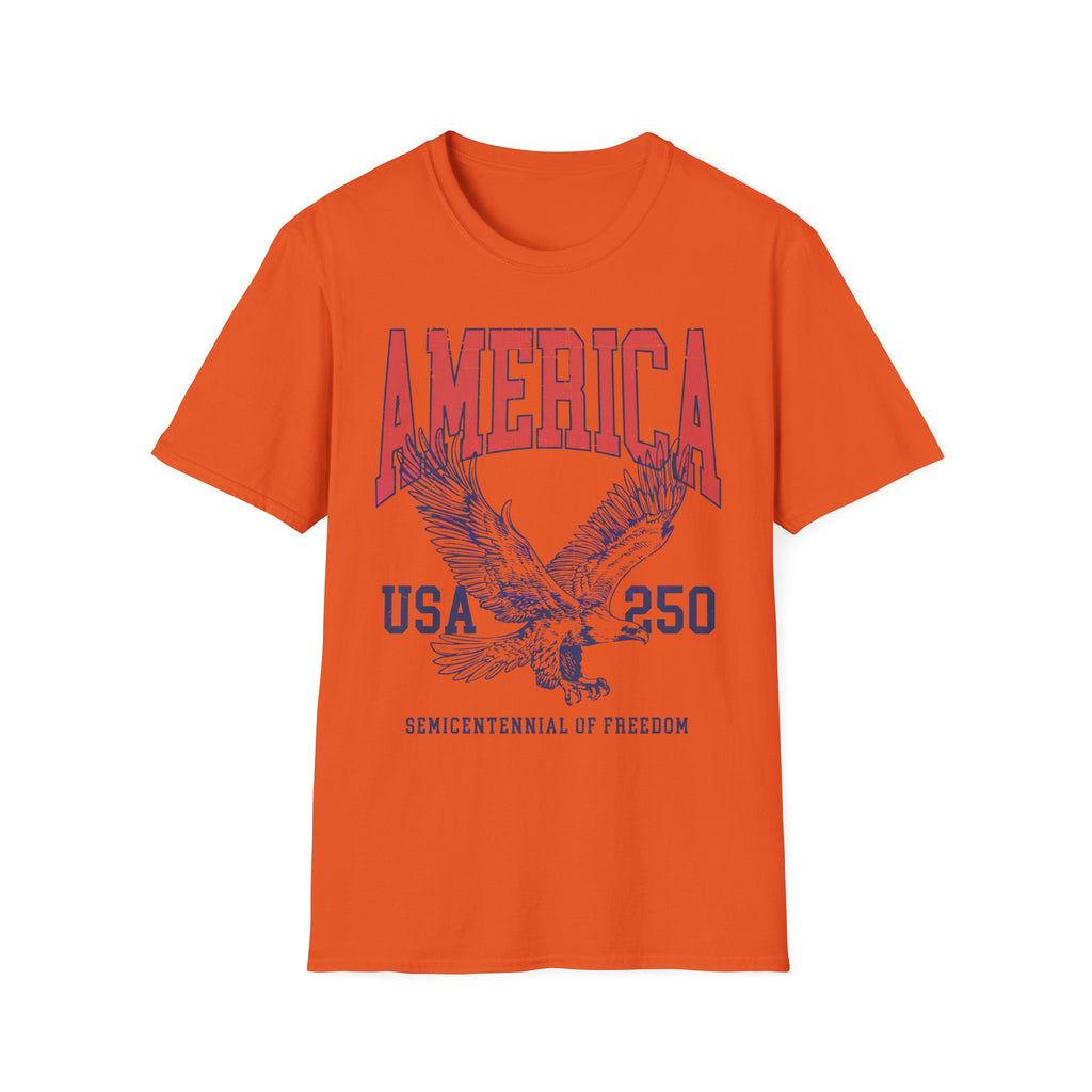America USA 250 Vintage Gym T-Shirt