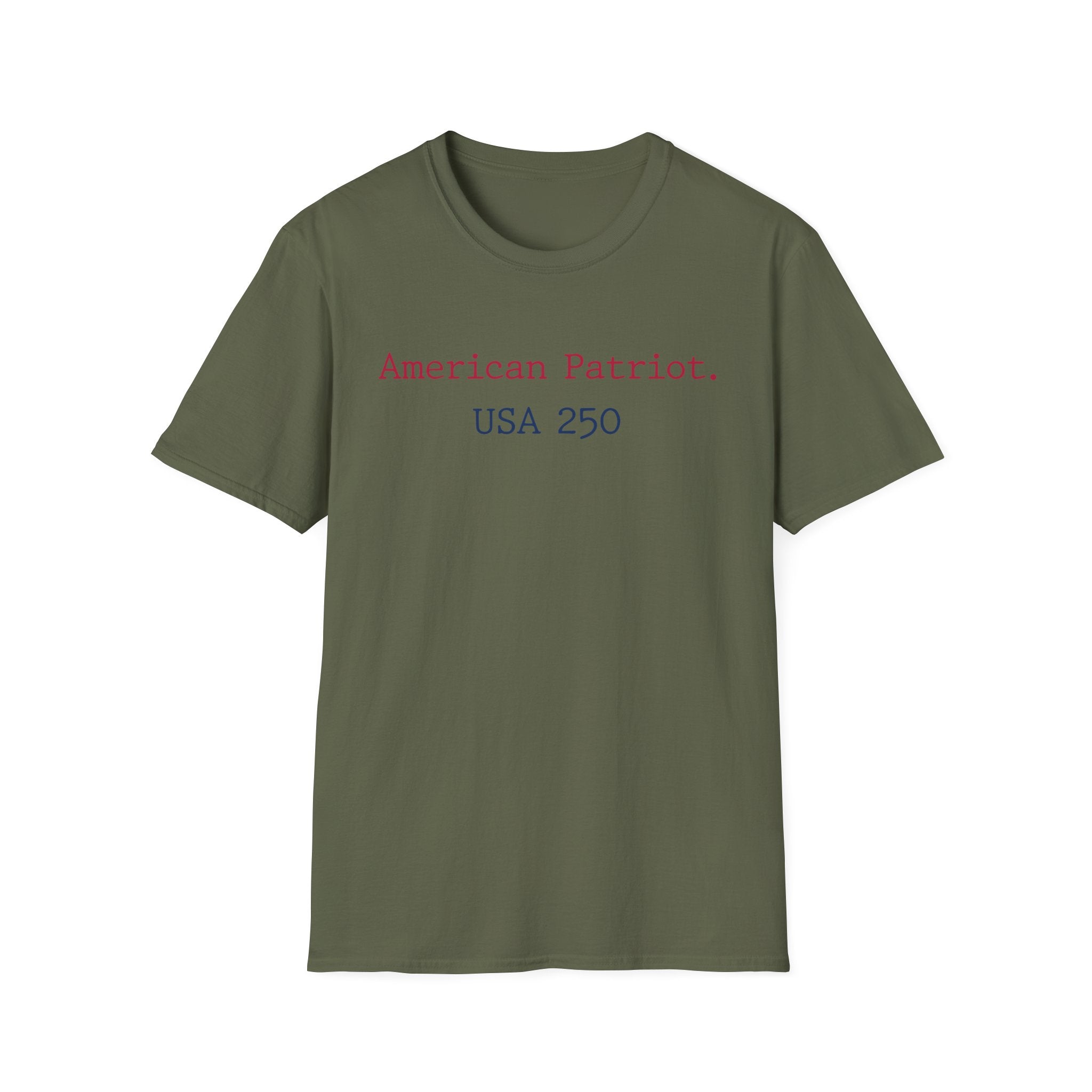 American Patriot USA 250 Typographic Vintage Gym T-Shirt