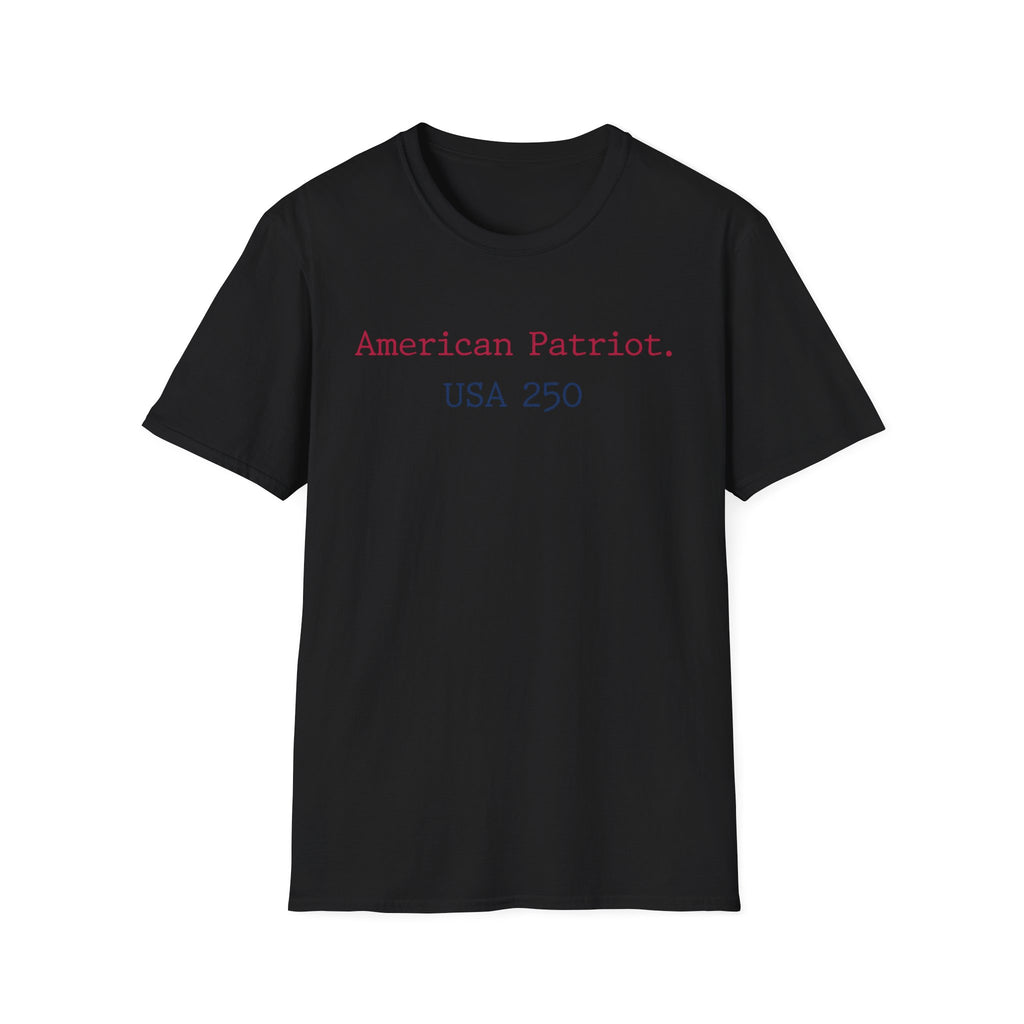 American Patriot USA 250 Typographic Vintage Gym T-Shirt