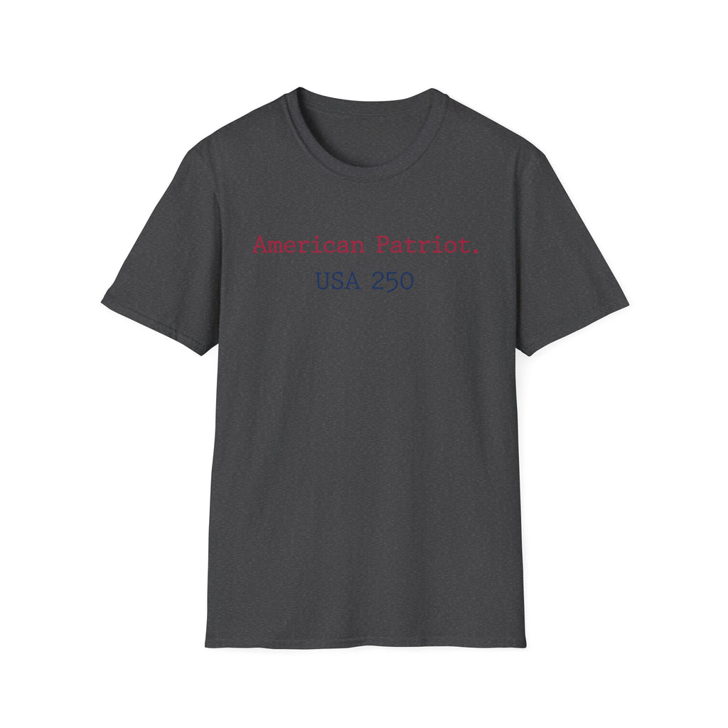 American Patriot USA 250 Typographic Vintage Gym T-Shirt