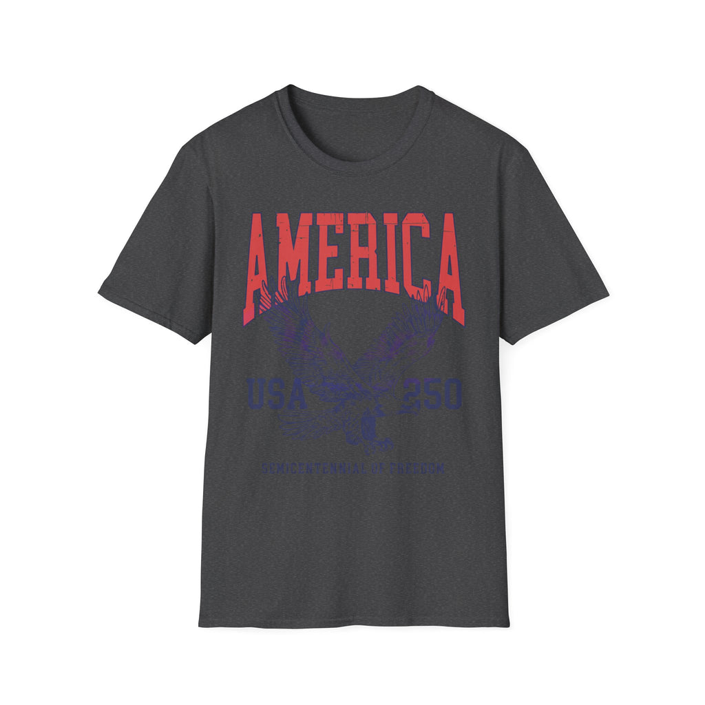 America USA 250 Vintage Gym T-Shirt