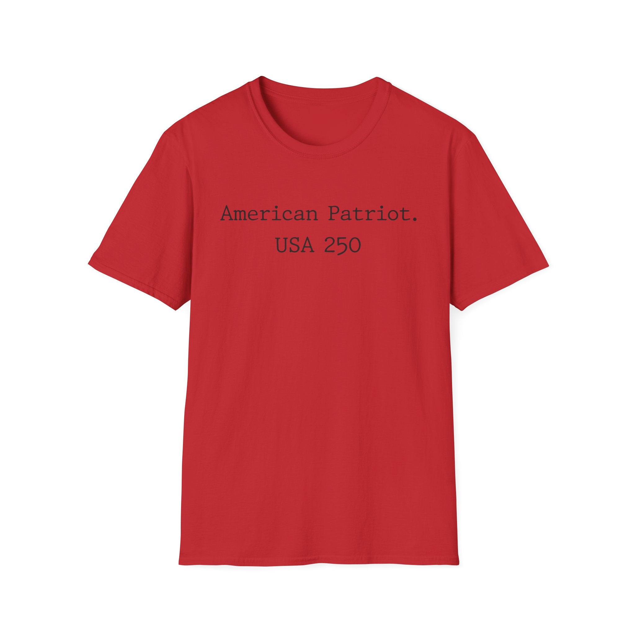 American Patriot 250 Typographic Vintage Gym T-Shirt
