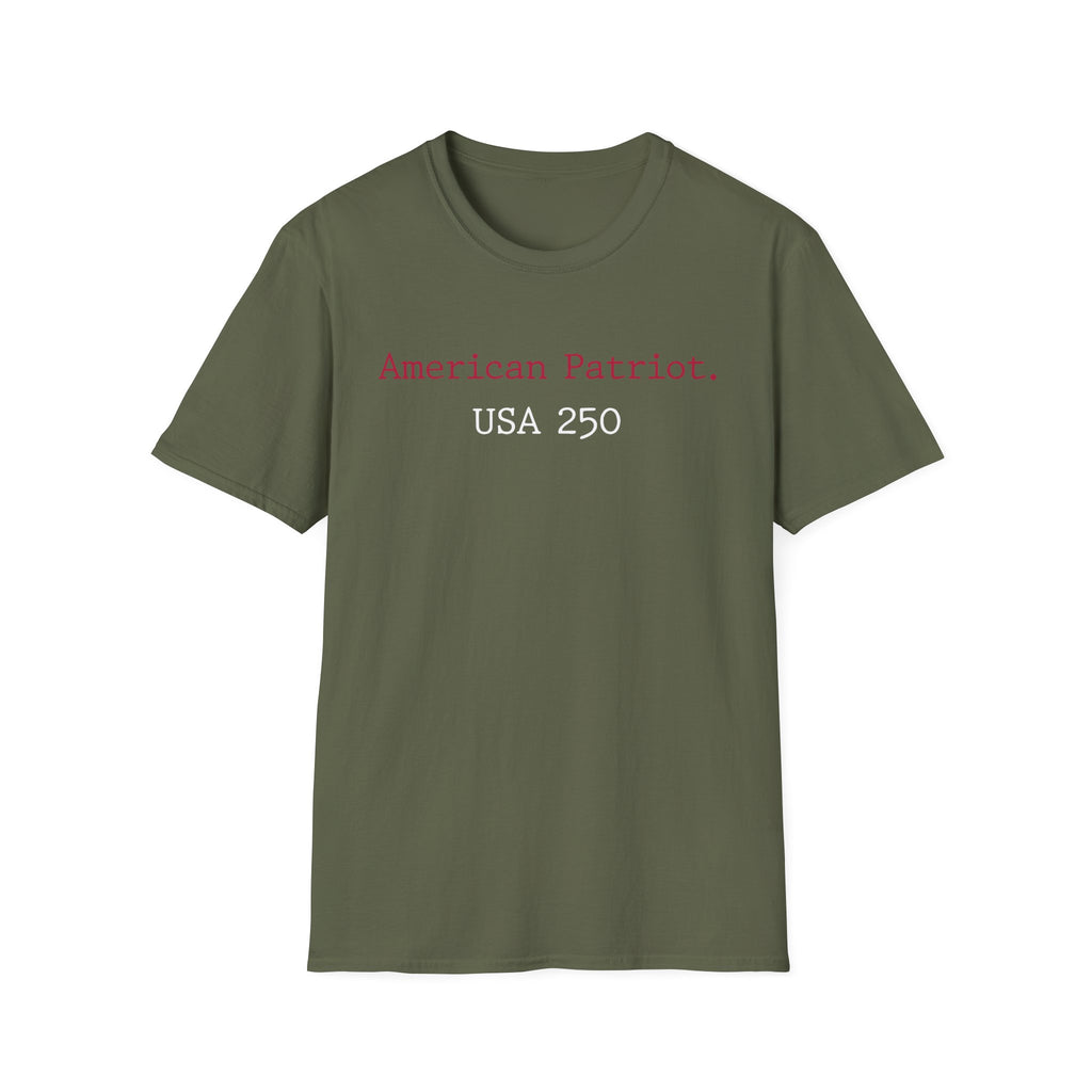 American Patriot US 250 Typographic Vintage Gym T-Shirt