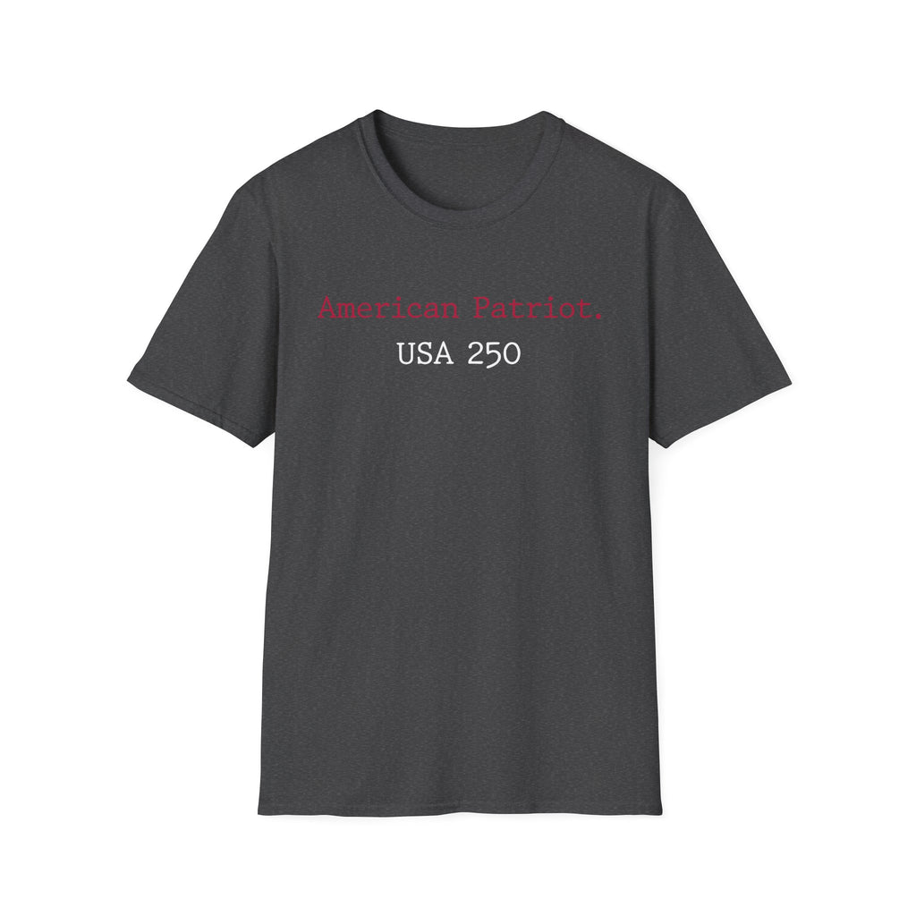 American Patriot US 250 Typographic Vintage Gym T-Shirt