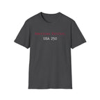 American Patriot US 250 Typographic Vintage Gym T-Shirt