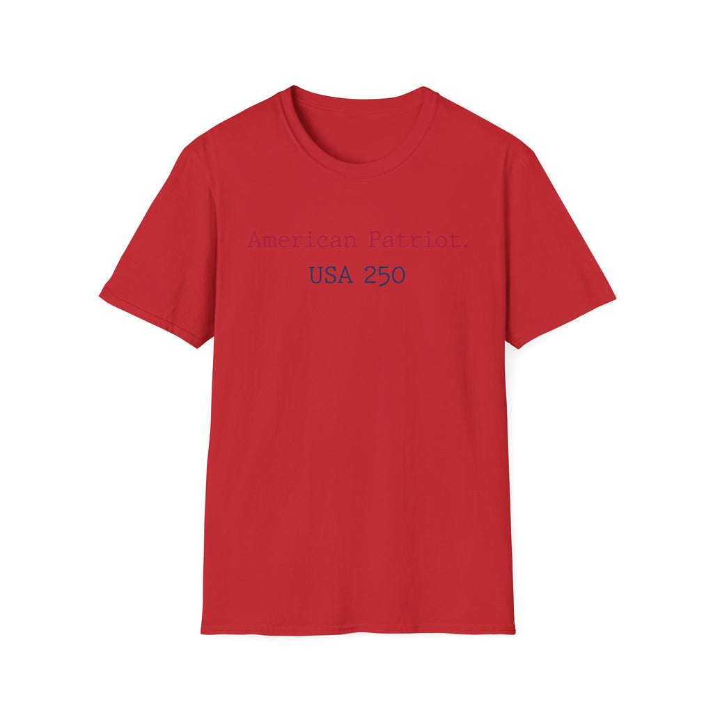 American Patriot USA 250 Typographic Vintage Gym T-Shirt