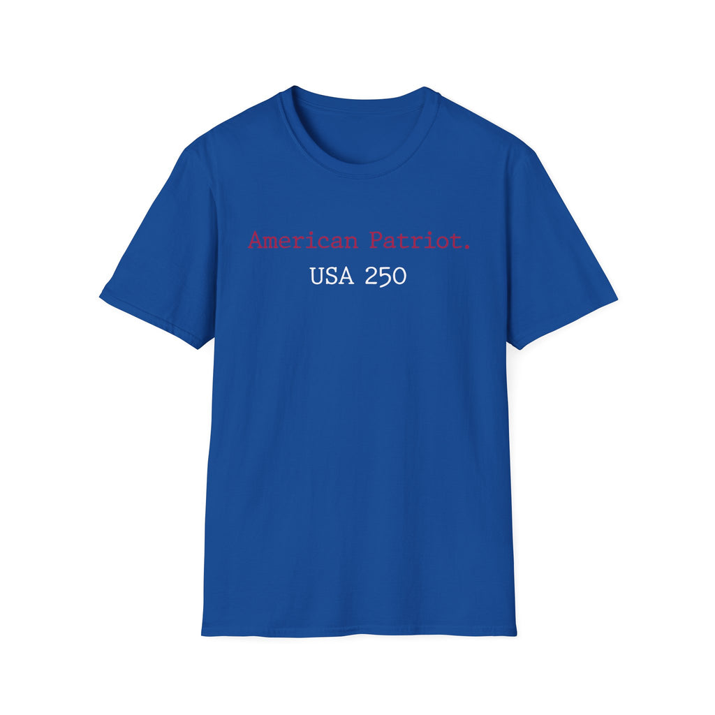 American Patriot US 250 Typographic Vintage Gym T-Shirt