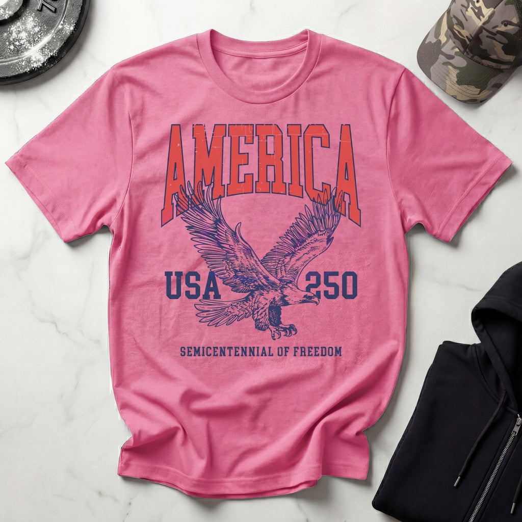 America USA 250 Vintage Gym T-Shirt