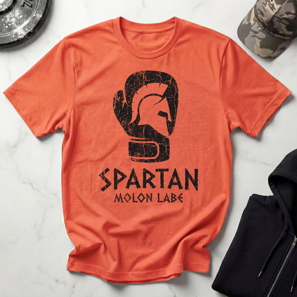 Spartan Molon Labe Boxing Vintage Gym T-Shirt